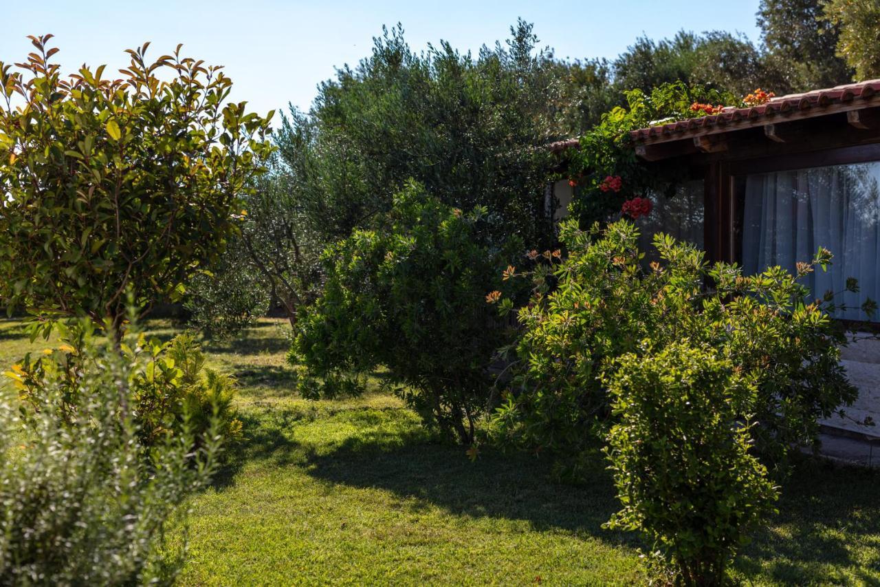 Villa Oliva Kaštela Kültér fotó